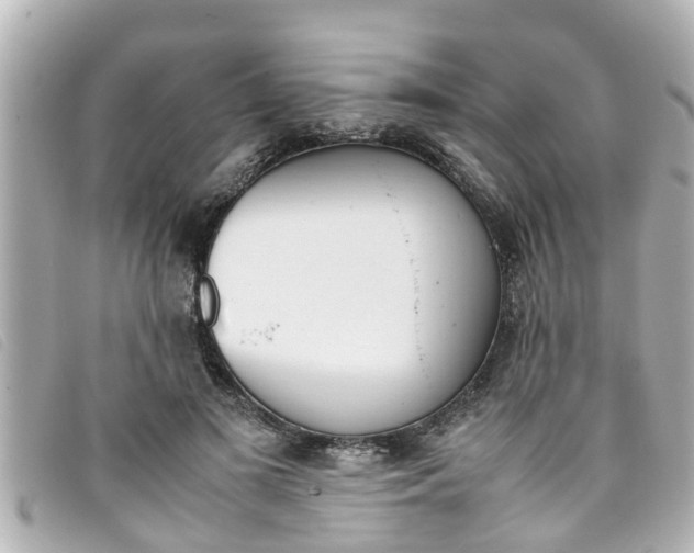 X0000093390693200710251241