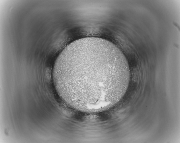 X0000093390695200710251241