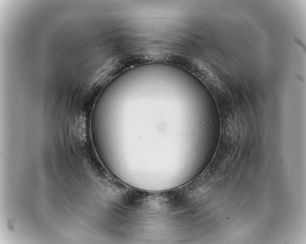 X0000093390696200710251241