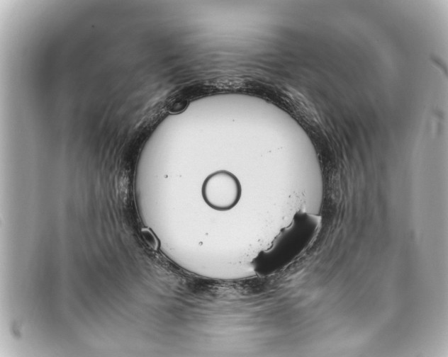 X0000093390697200710251241