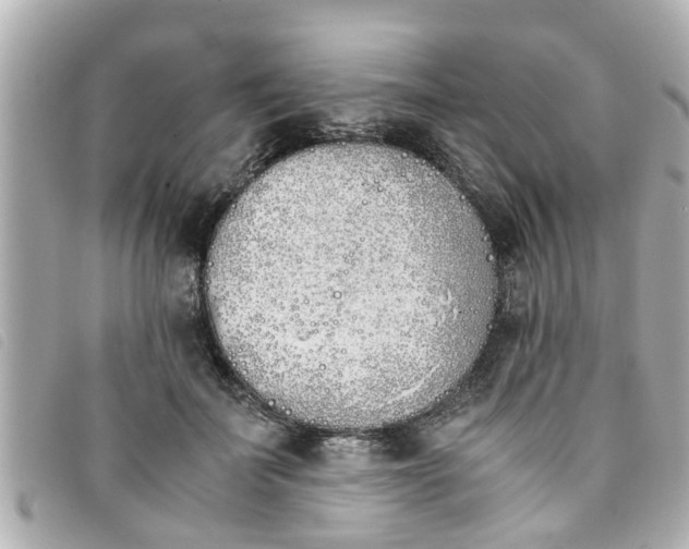 X0000093390699200710251241