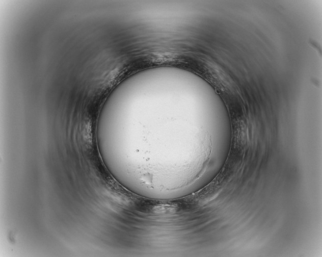 X0000093390700200710251241