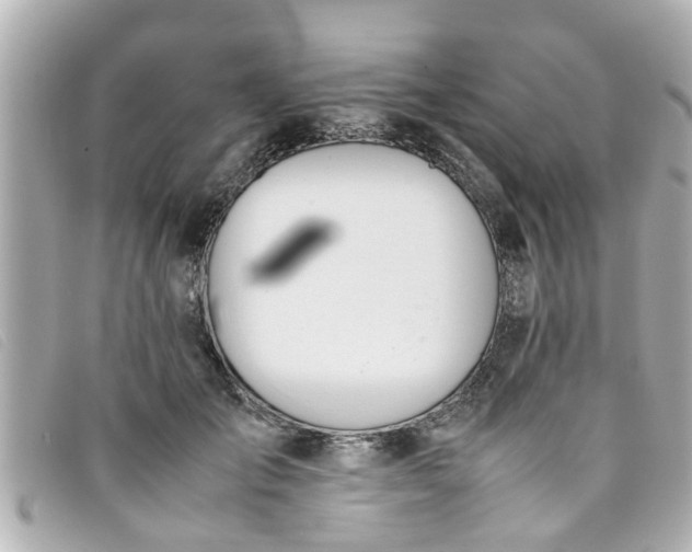 X0000093390701200710251241