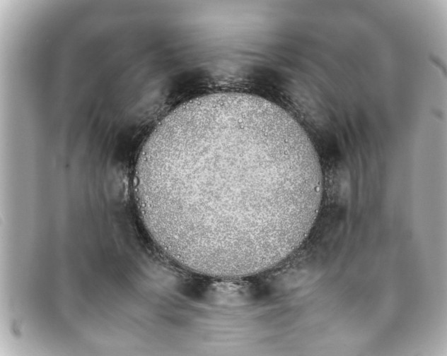 X0000093390703200710251241