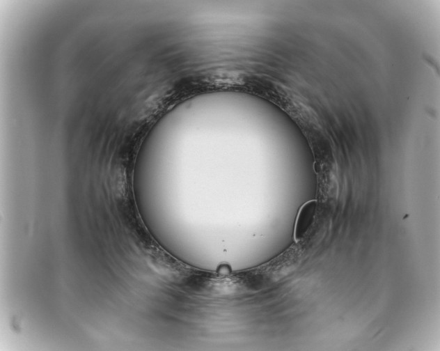 X0000093390704200710251241