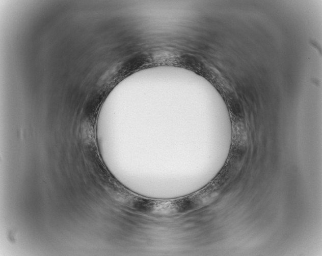 X0000093390705200710251241