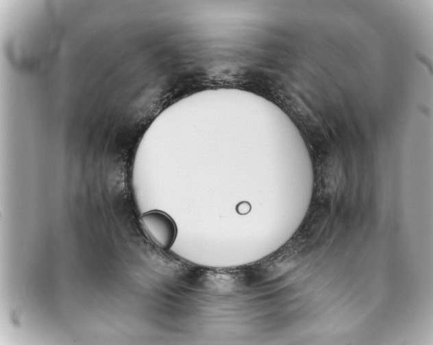 X0000093390706200710251241