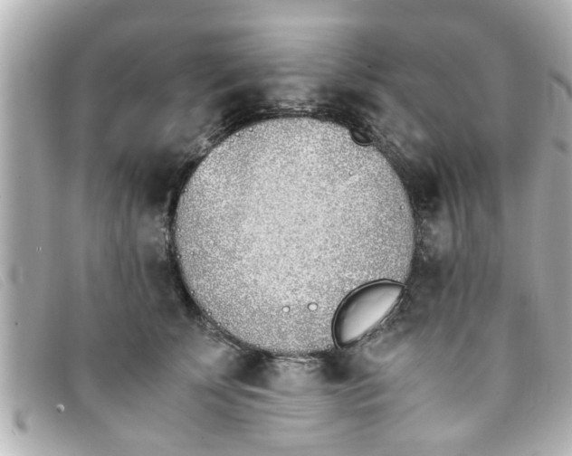 X0000093390707200710251241