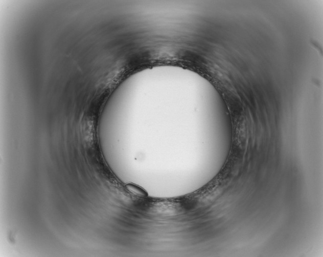 X0000093390708200710251241