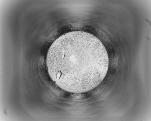 X0000093390711200710251241