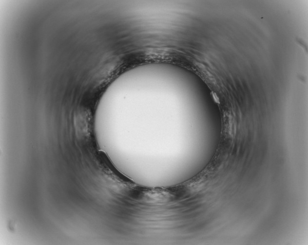 X0000093390712200710251241