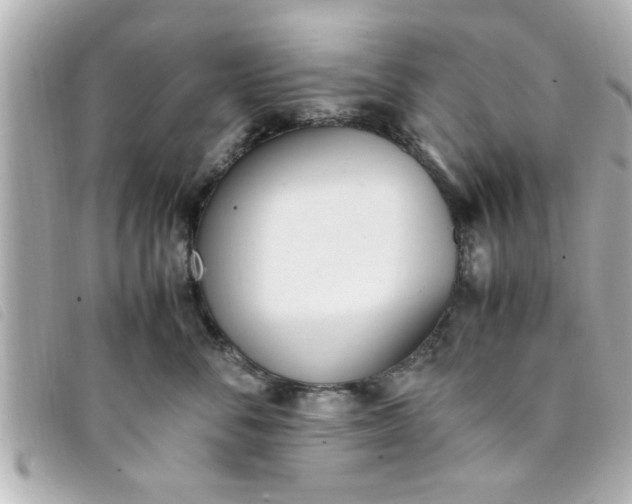 X0000093390716200710251241