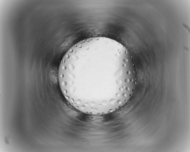 X0000093390719200710251241