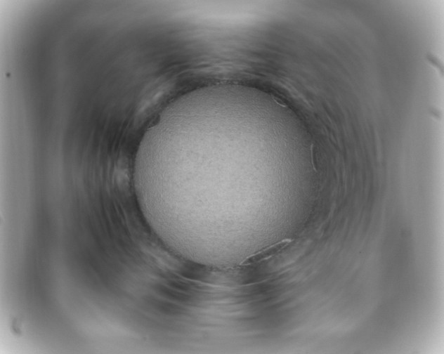 X0000093390720200710251241