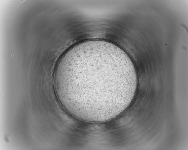 X0000093390721200710251240