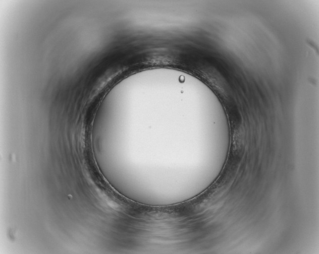 X0000093390722200710251240