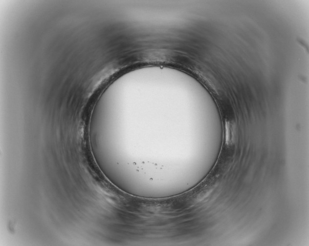 X0000093390723200710251240