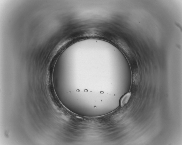 X0000093390724200710251240