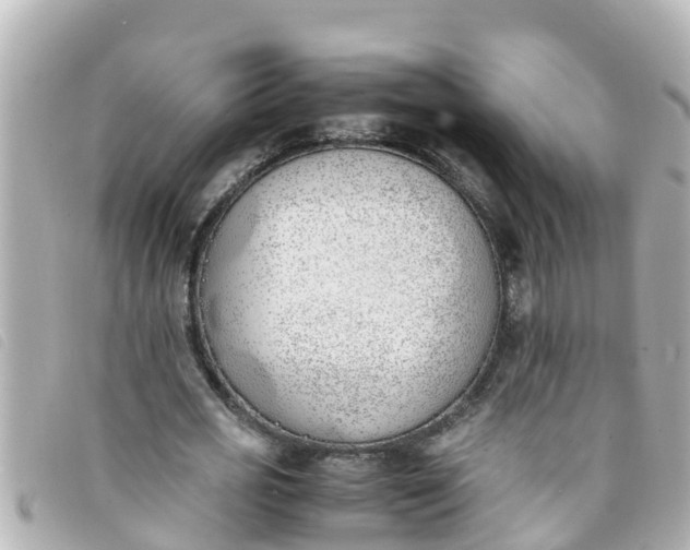 X0000093390725200710251240