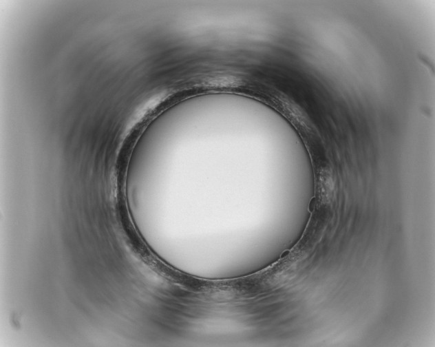 X0000093390726200710251240