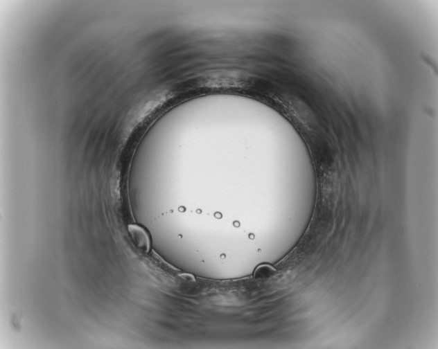 X0000093390727200710251240