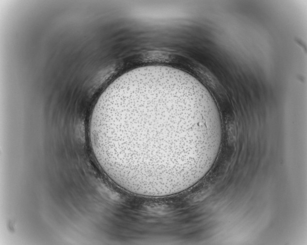 X0000093390729200710251240