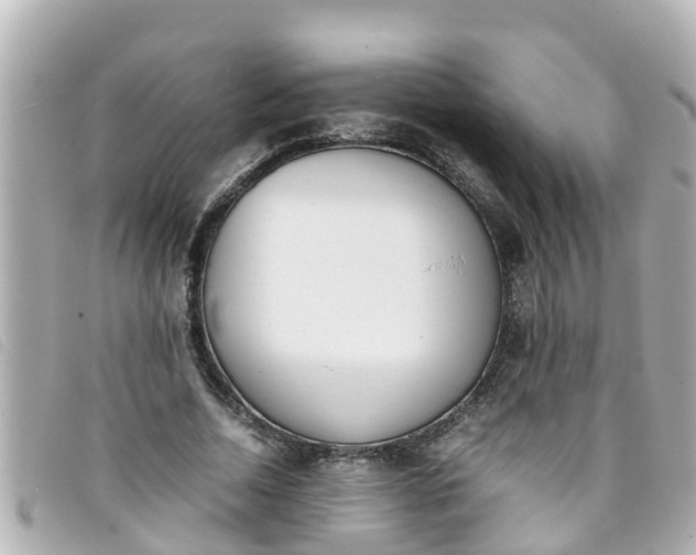 X0000093390730200710251240