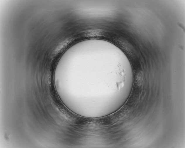 X0000093390732200710251240