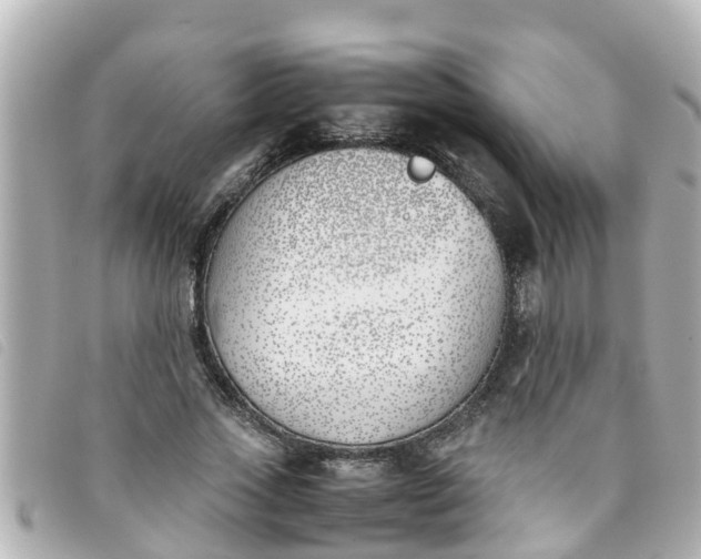 X0000093390733200710251240