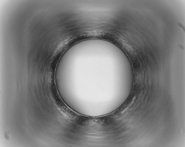 X0000093390736200710251240