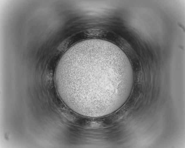 X0000093390737200710251240