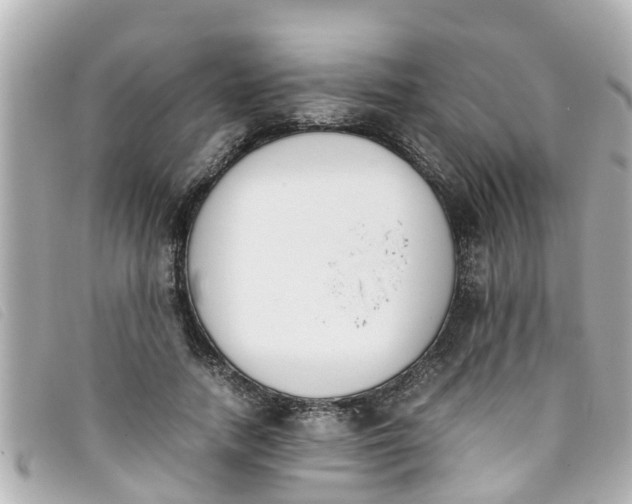 X0000093390738200710251240