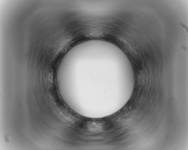 X0000093390739200710251240