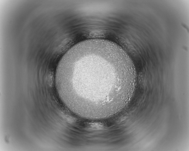 X0000093390741200710251240