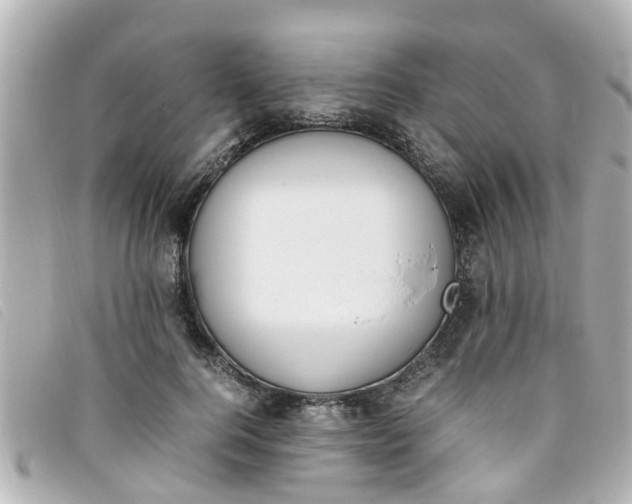 X0000093390744200710251240