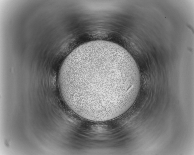 X0000093390745200710251240