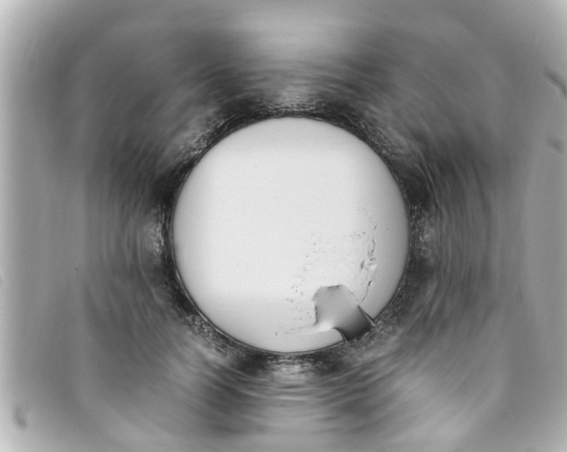 X0000093390746200710251240