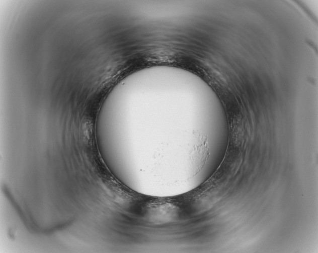 X0000093390747200710251240