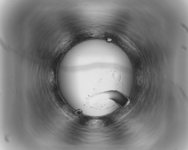 X0000093390748200710251240