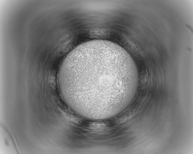 X0000093390749200710251240