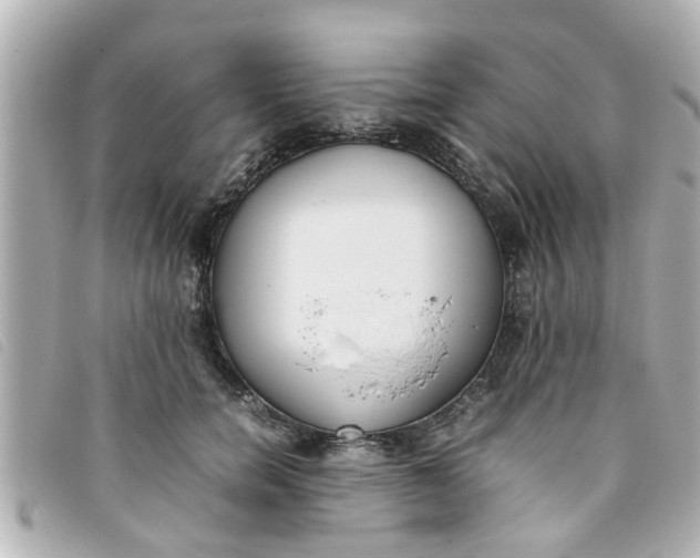 X0000093390750200710251240