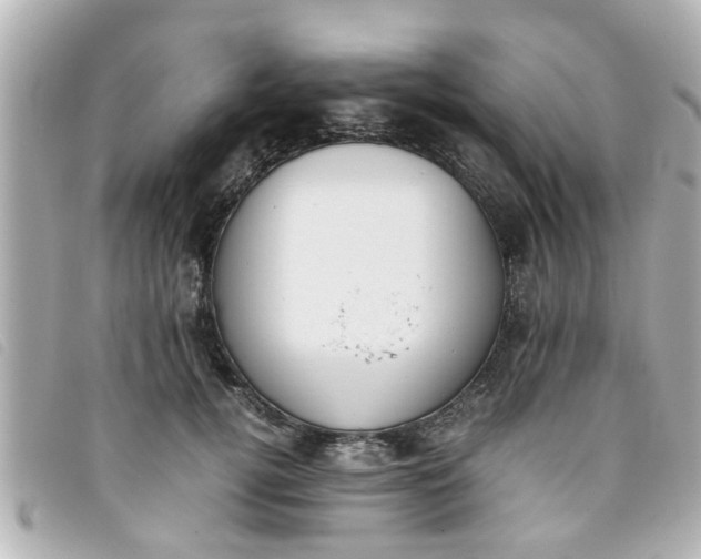 X0000093390752200710251240