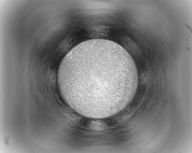 X0000093390753200710251240