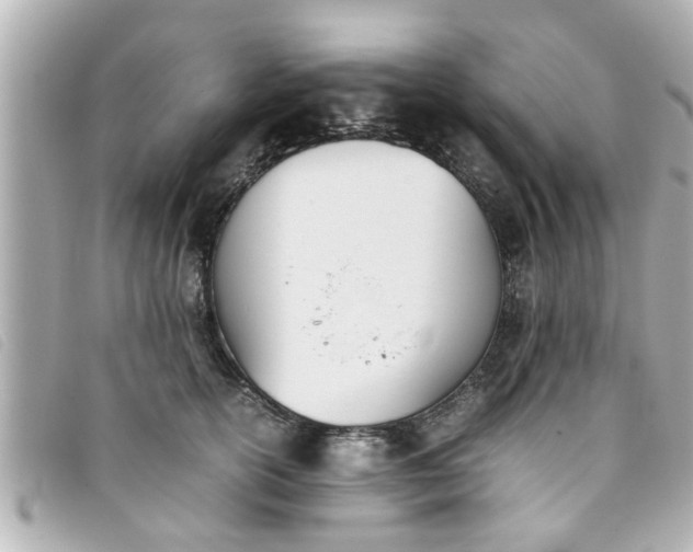 X0000093390754200710251240