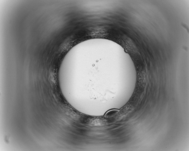 X0000093390755200710251240