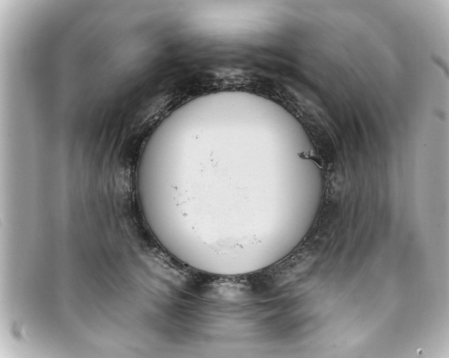 X0000093390756200710251240