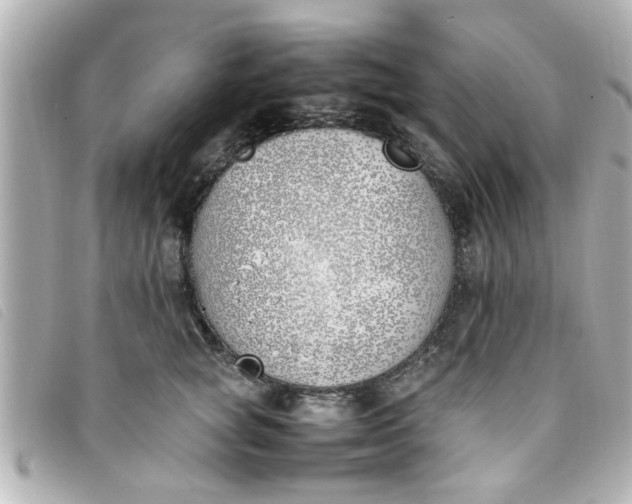 X0000093390757200710251240