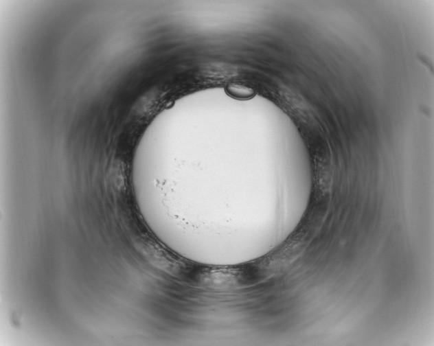 X0000093390758200710251240