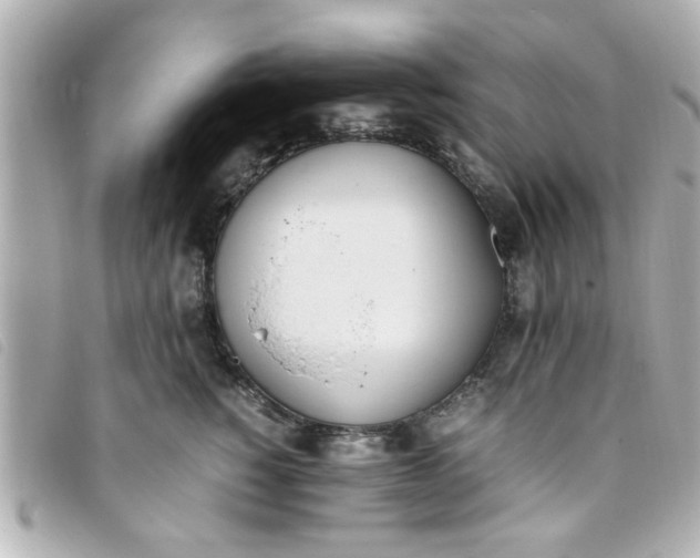 X0000093390760200710251241