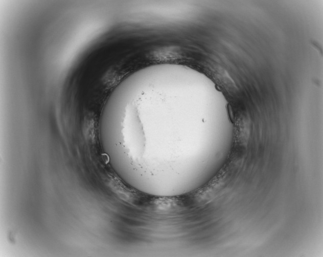 X0000093390762200710251241